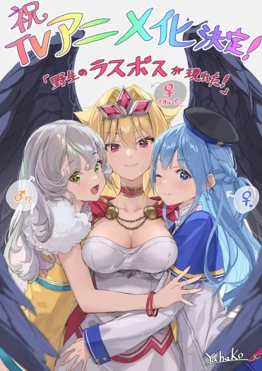 Capa de A Wild Last Boss Appeared!