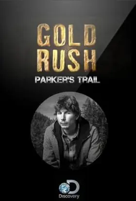 Febre do Ouro: O Desafio de Parker - Filme grátis no Cinegato