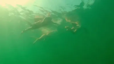 Largados, Pelados e Ilhados-E1