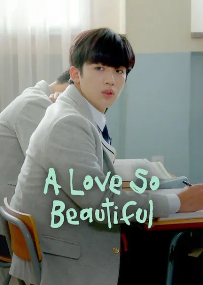 A Love So Beautiful