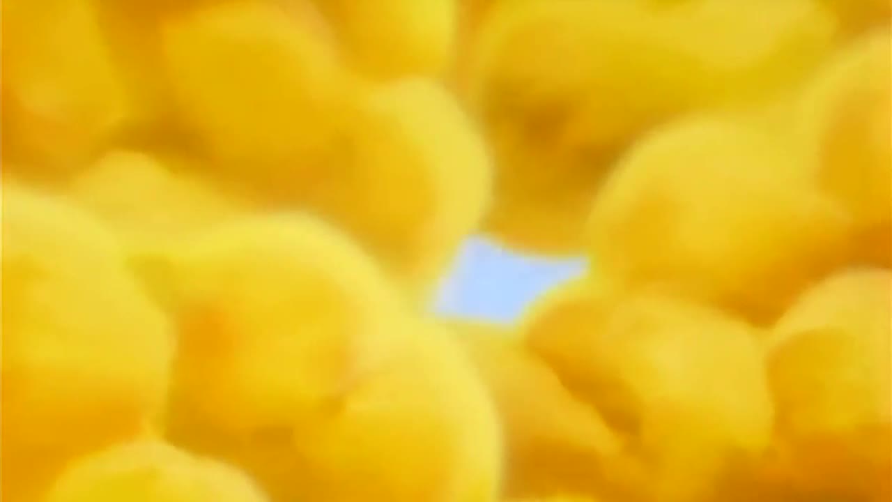 Dragon Ball Z Episódio 7