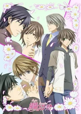 Junjou Romantica assistir online grátis