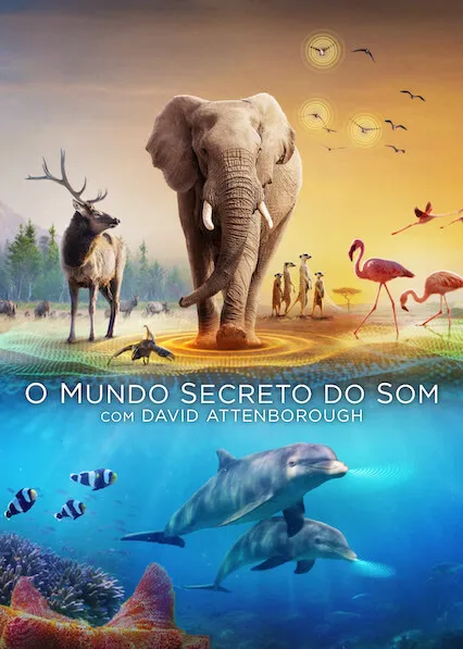 Capa de O Misterioso Mundo dos Sons com David Attenborough