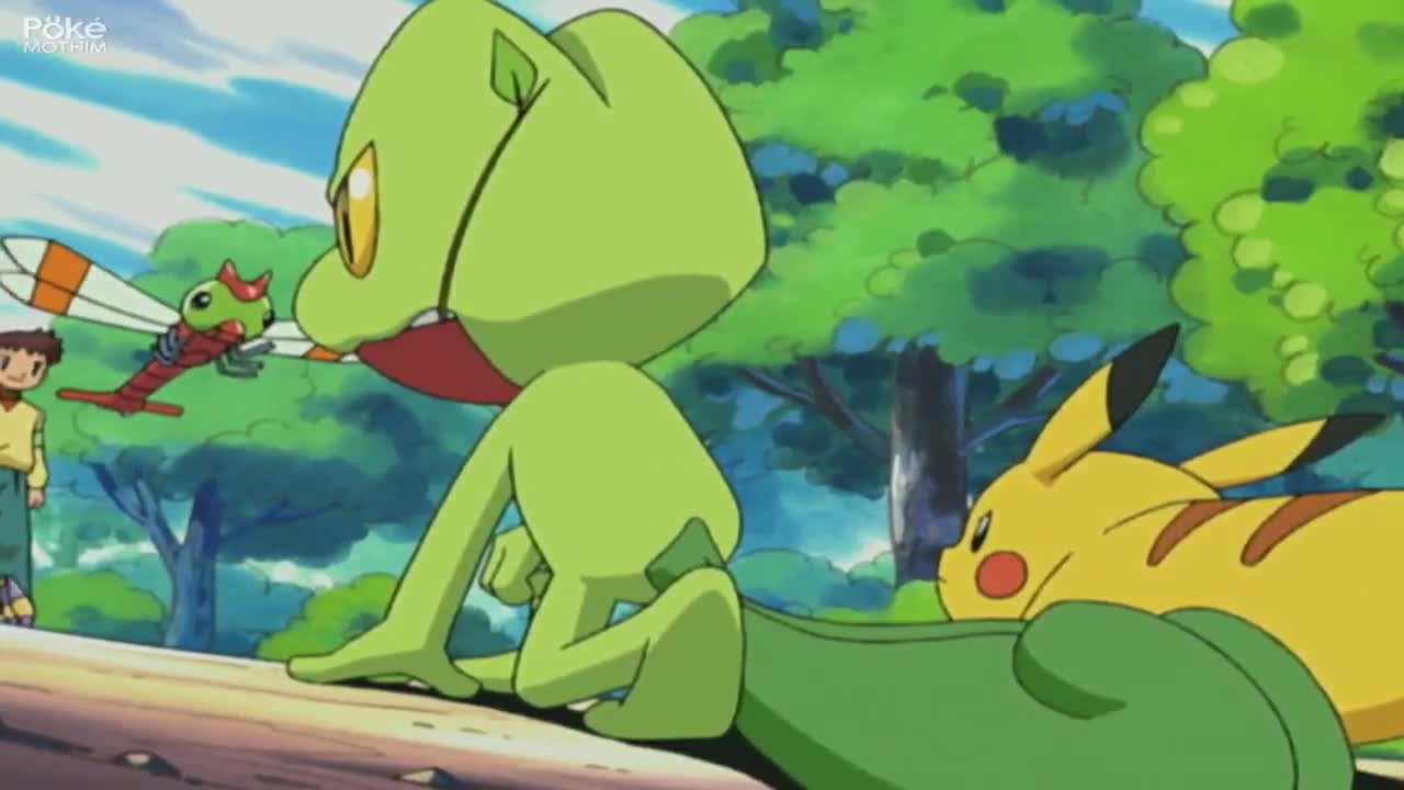 Pokémon The Series:Advanced Episódio 14