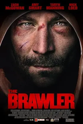 The Brawler assistir online grátis