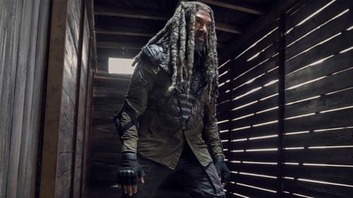 The Walking Dead Episódio 20