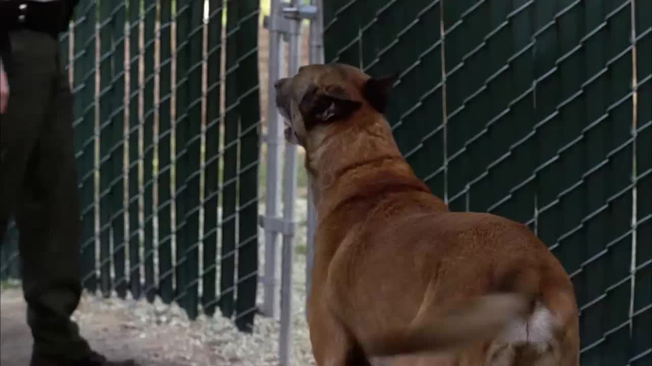 O Mentalista Episódio 23