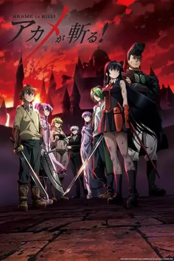 Pôster do anime Akame ga Kill! (2016)