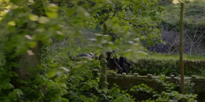 Gentleman Jack-E2.I just went there to study anatomy