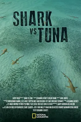 Shark vs Tuna - Filme grátis no Cinegato