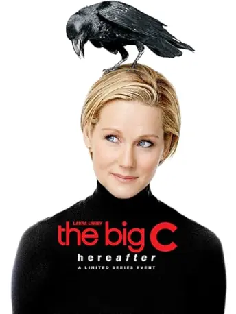 Pôster da série Aquela Doença com C (2013)