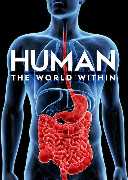Corpo Humano: Nosso Mundo Interior