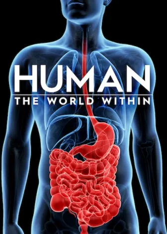 Corpo Humano: Nosso Mundo Interior