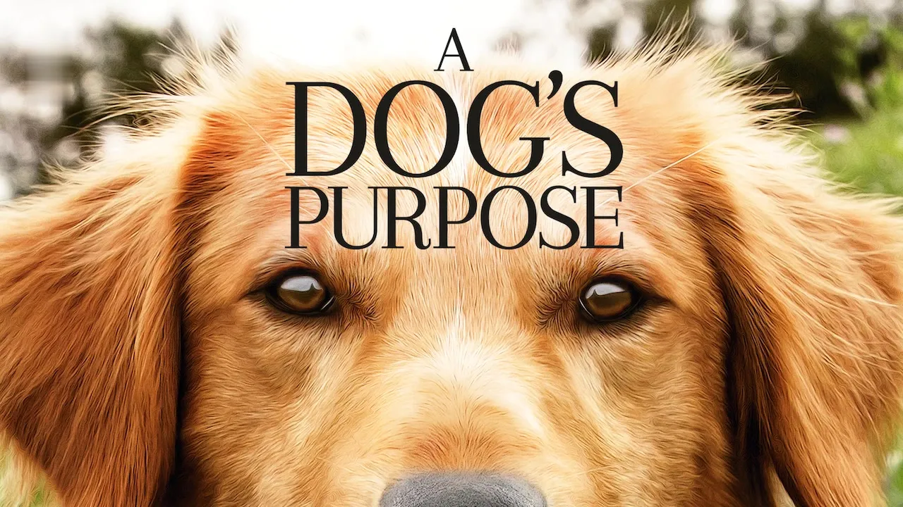 Movie Poster: Quatro Vidas de Um Cachorro