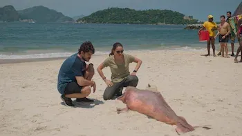 E1.Queria muito que você estivesse aqui