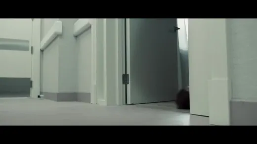 E6