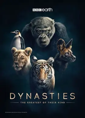 Dynasties - Série completa grátis no Cinegato
