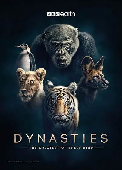 Capa de Dynasties