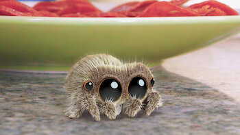 Lucas, a Aranha Episódio 3