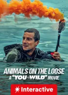 Você Radical - Safári