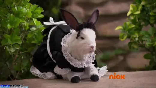 Episódio 23