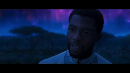 E22.King T'Challa
