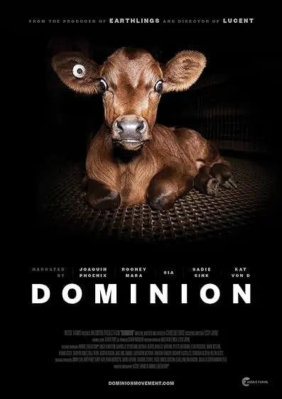 Pôster de Domínio (2018)