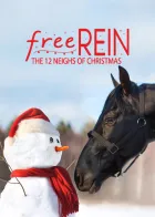 Zoe e Raven: Os Doze Presentes de Natal