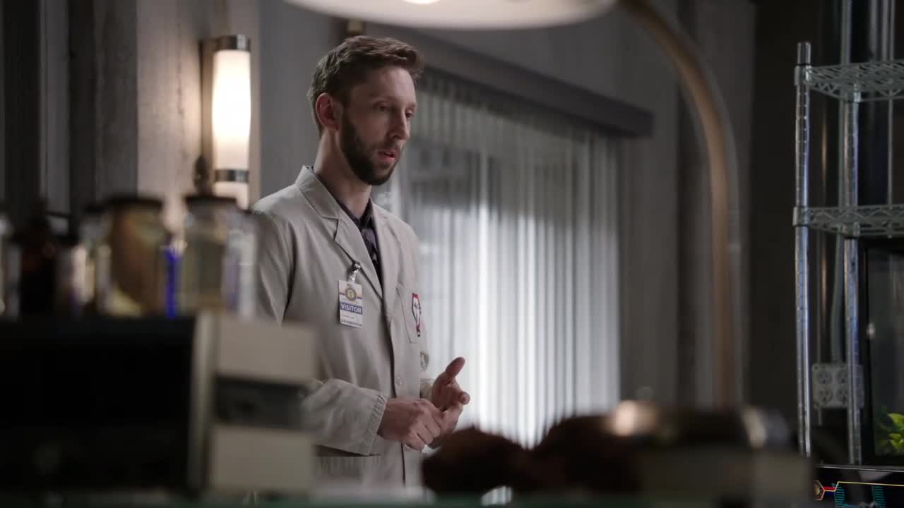 Bones Episódio 17