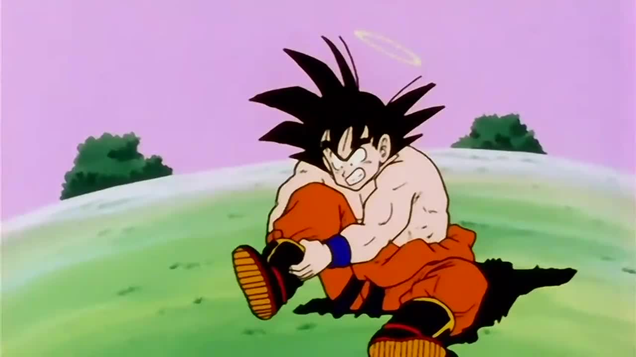 Dragon Ball Z Episódio 19