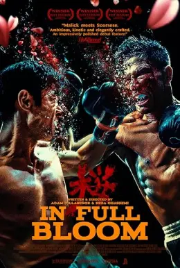 Em Busca da Vitória