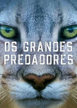 Predadores do Mundo Animal
