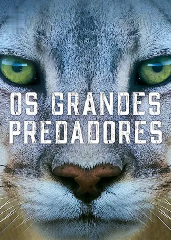 Predadores do Mundo Animal