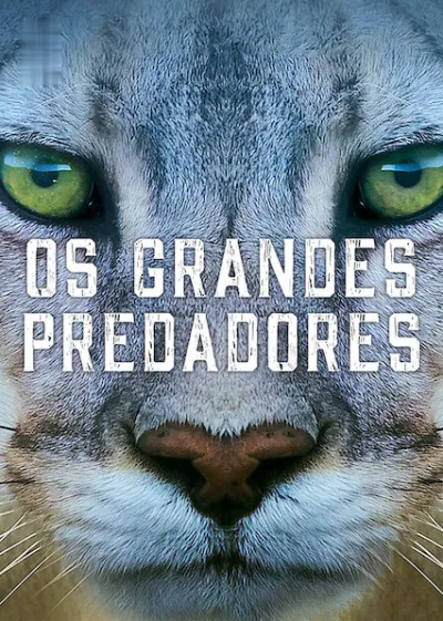Predadores do Mundo Animal