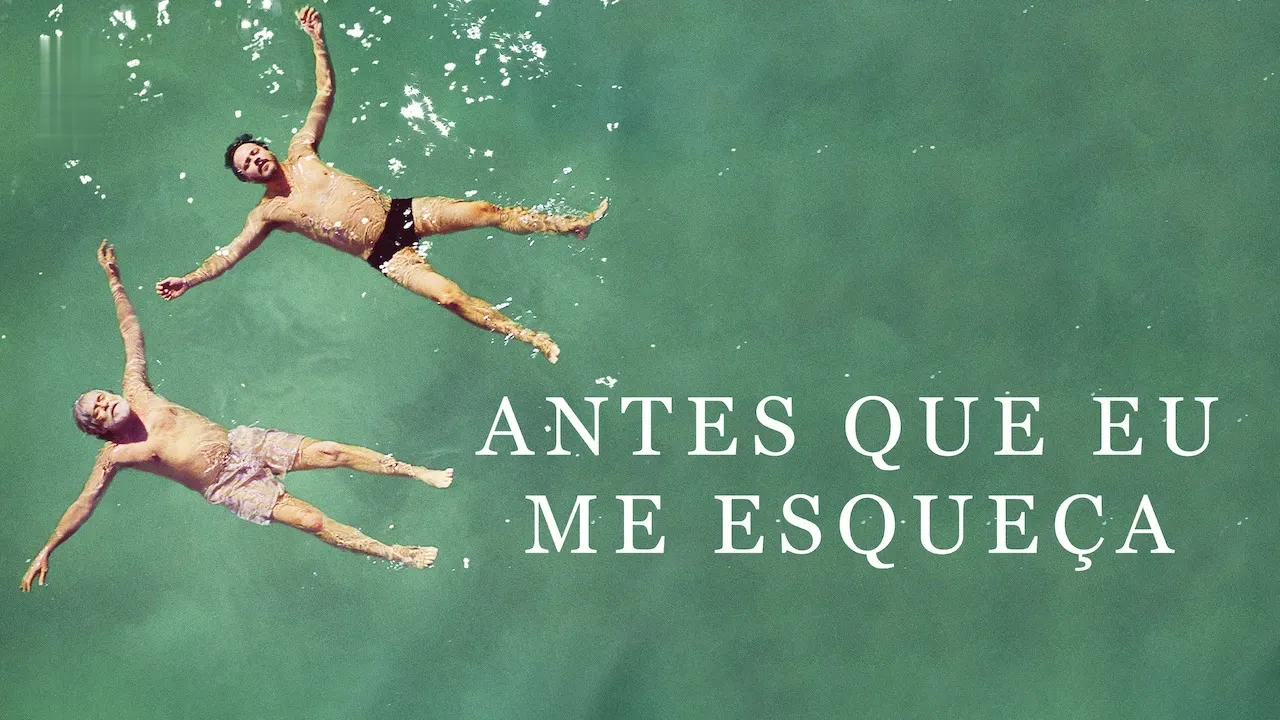 Movie Poster: Antes Que Eu Me Esqueça