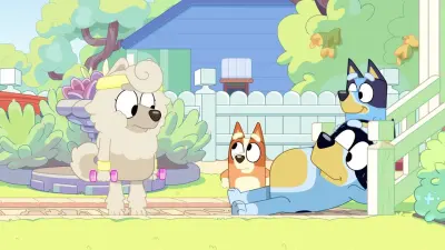 Bluey-E25.Ragdoll