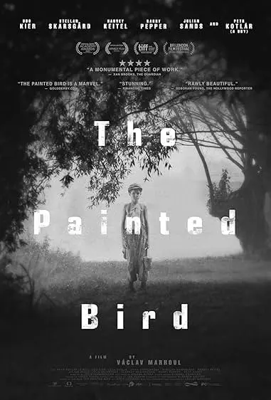 Movie Poster: O Pássaro Pintado