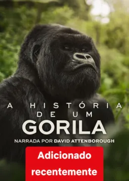 A História de Um Gorila com David Attenborough