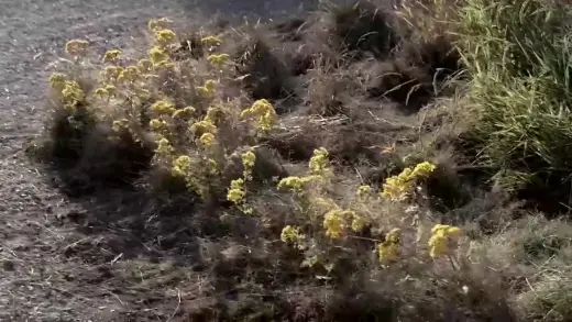 E8