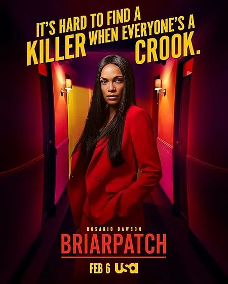 Capa de Briarpatch