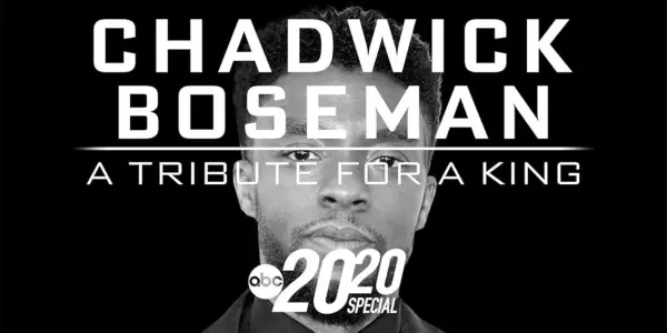 Capa de 20/20