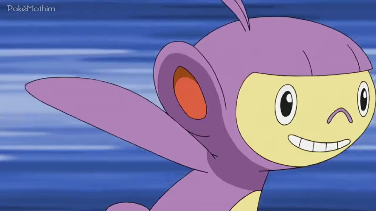 Pokémon The Series:Diamond and Pearl Episódio 9