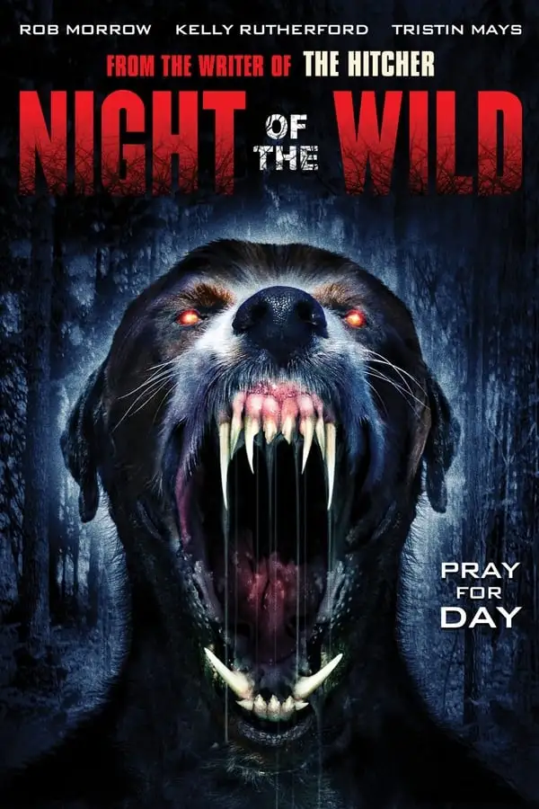 Pôster de Night of the Wild (2015)