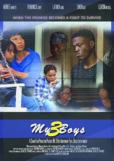 Movie Poster: My 3 Boys
