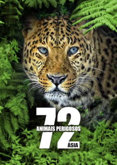 72 Animais Perigosos: Ásia