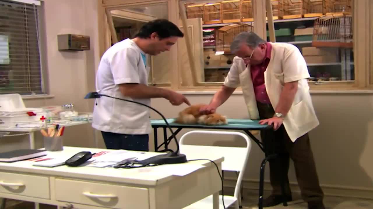 A Grande Família Episódio 20