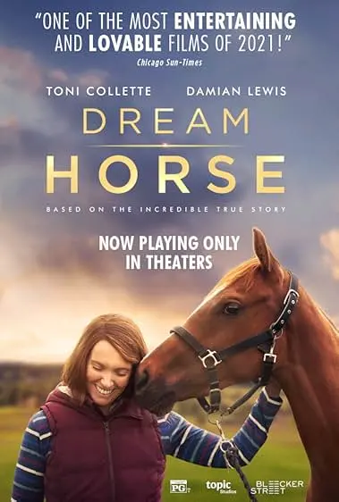 Capa de O Cavalo dos Meus Sonhos