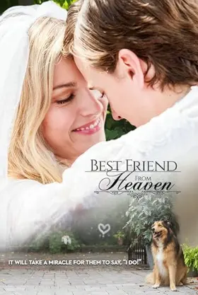 Melhor Amigo do Céu assistir online grátis