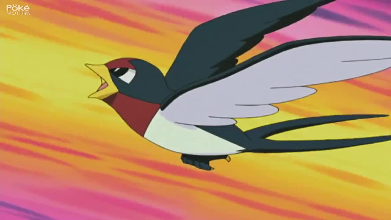 Pokémon The Series:Advanced Episódio 20