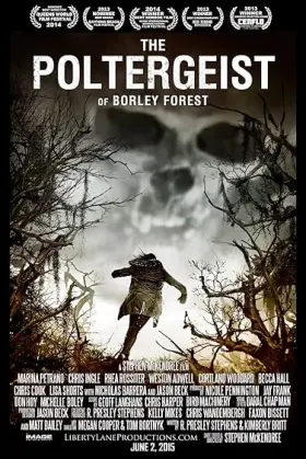 The Poltergeist of Borley Forest assistir online grátis